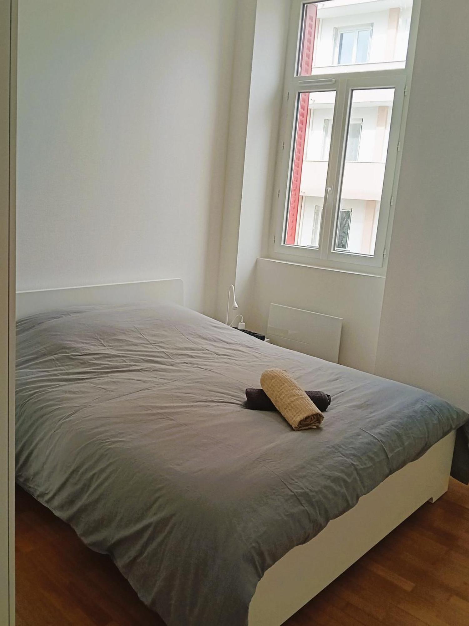 101 - Appart Renove Avec 1 Chambre Spacieuse - Tram Et Clinique Mutualiste A 1 Min Гренобъл Екстериор снимка
